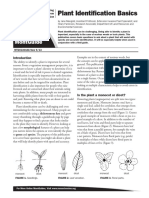 Plant Identification Basics