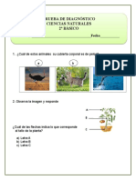 Ciencias Naturales Prueba