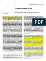 Innervation of The Pancreas by Neurons in The Gut