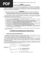 Derechos Fundamentales 