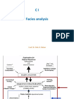 CI Facies Analysis - Overview