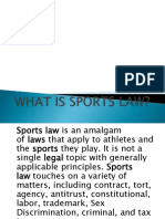 Intro To Sports Law