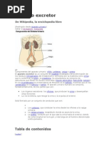 Aparato Excretor