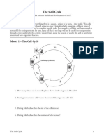 15 The Cell Cycle-S PDF