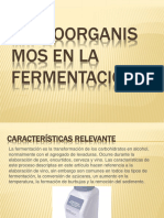 Microorganismos en La Fermentación