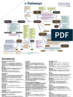 Steroidogenic Pathways Chart