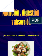 Digestion Absorcion y Nutricion