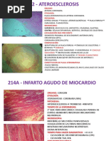 MICRO 4ta Unidad PDF