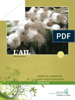 Guide Ail Version Finale-1 PDF