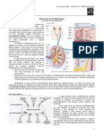 Fisiologia Renal - MED RESUMO PDF