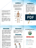 Triptico Sistema Oseo