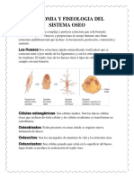 Anatomia y Fiseologia Del Sistema Oseo