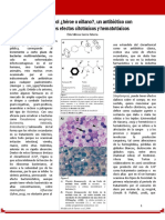 Cloranfenicol ¿Héroe o Villano?, Un Antibiótico Con Potenciales Efectos Citotóxicos y Hematotóxicos