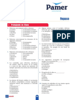 B 1°año S8 Repaso