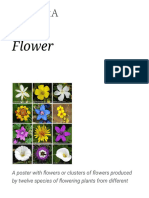 Flower - Wikipedia PDF