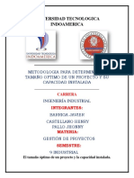 Metodología para Determinar El Tamaño Optimo de Un Proyecto