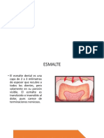 Esmalte Dental 1