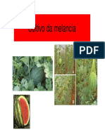 Melao PDF