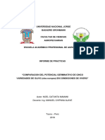 Comparacion Del Potencial Germinativo de Cinco Variedades de Olivo