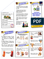 Triptico Pie Diabetico PDF