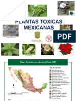 Plantas Mexicanas Toxicas