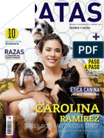 4 Patas - Diciembre 2015 y Febrero 2016