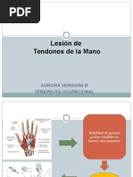 Clase Lesion Tendones para Alumnos