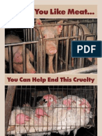 Even If You Like Meat : You Can Help End This Cruelty