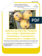 Fruteiras Clima Temperado