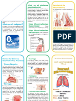 Sistema Respiratorio