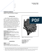 Hibiscus Syriacus Rose-of-Sharon: Fact Sheet ST-295