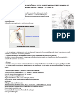 Diferenças Anatômicas e Fisiológicas Entre Os Sistemas Do Corpo Humano Do Recém Nascido