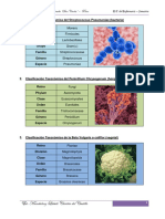 Trabajo N 01 de Taxonomia