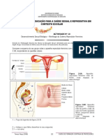 Actividade 10 - Desenvolvimento Sexual Biológico - Morfologia Do Sistema Reprodutor Feminino