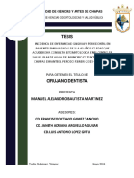 Tesis Incidencia de Enfermedad Gingival y Periodontal