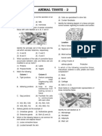 Animal Tissue - 2: Location Function