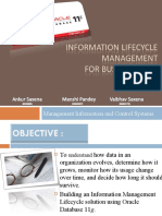 Information Lifecycle Management For Business Data