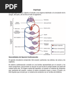 Angiologia 