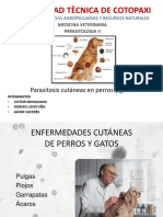 Parasitologia Wen Perros y Gatos