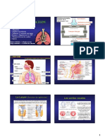 Respiration Profe