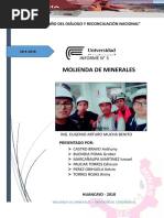 Informe N°3 - Mineralurgia