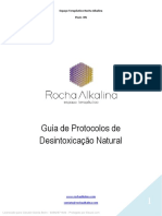 Guia de Protocolos de Desintoxicação Natural PDF