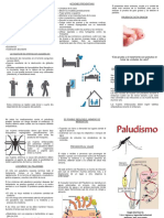 Triptico Paludismo