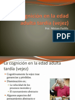 Presentacion Del Tema Cognicion Adulta