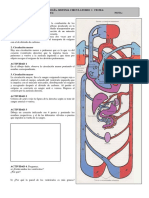 Actividad Cardiovascular PDF