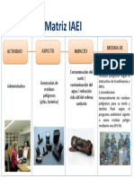 Resumen Matriz IAEI