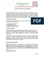 Proyecto de Puentes Atirantado y Puente Arco