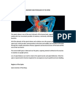 Anatomy and Physiology of The Spine