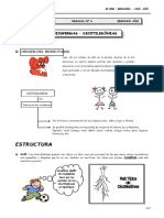 II BIM - BIOLOG - 2do. Año - Guía 6 - Angiospermas Dicotiled