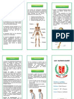 Triptico Sistema Oseo